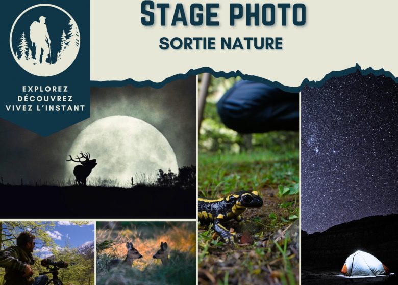 Nature Photo Workshop