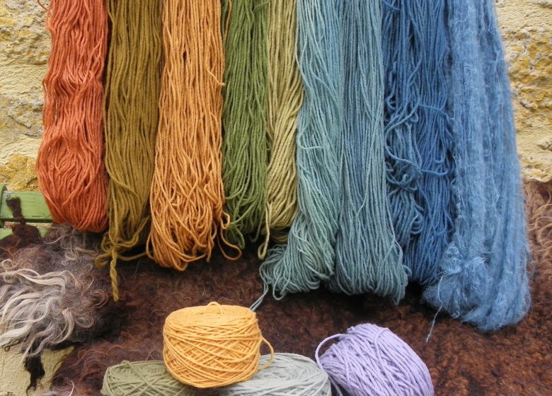 The thread of the Guinguette plant colours