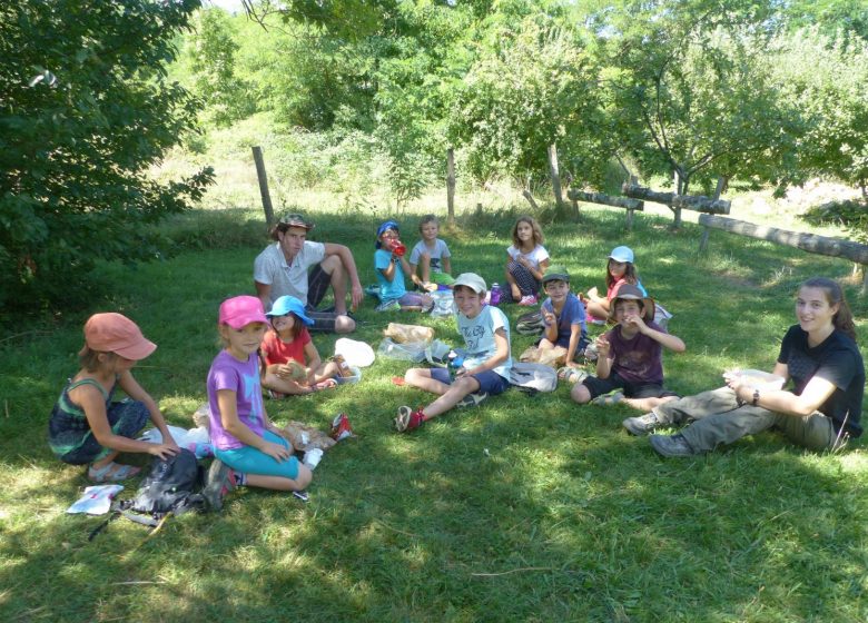 Pique nique dans l’herbe