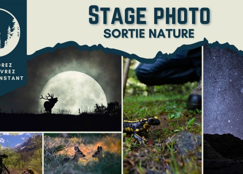 Stage Photos Sortie Nature