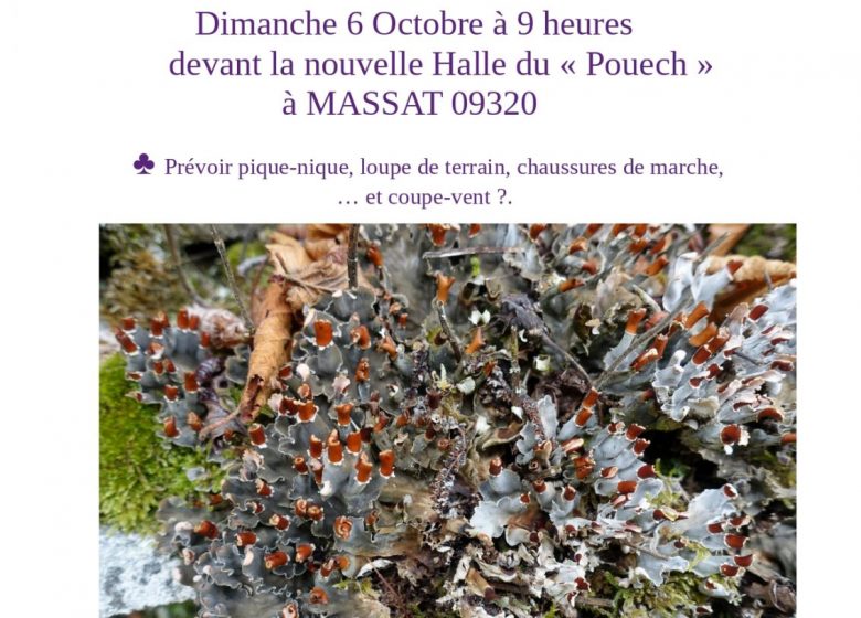 flyer sortie lichens