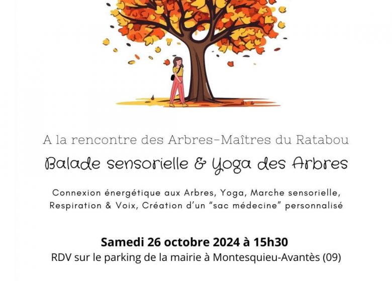 Balade sensorielle et Yoga des Arbres