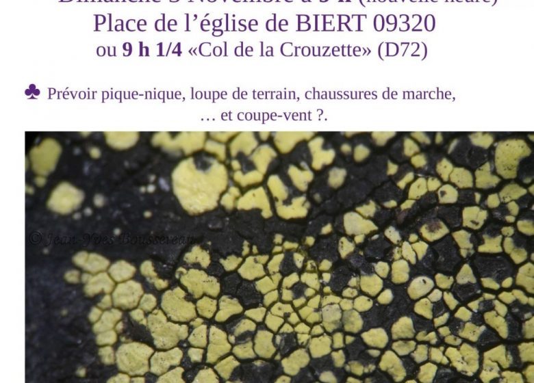 « Sortie lichens » au « Col de la Crouzette »_Biert