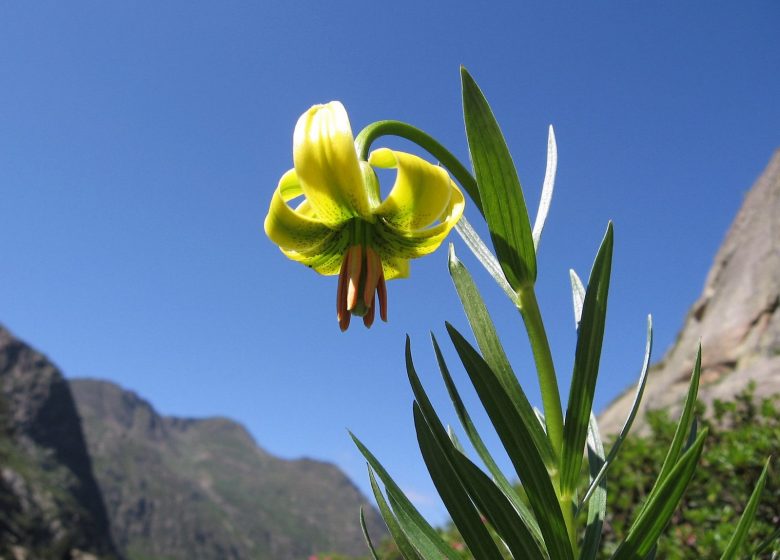 GR®10 – La grande traversée des Pyrénées_Mérens-les-Vals