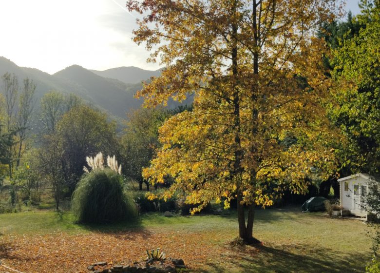 La vue depuis la chambre