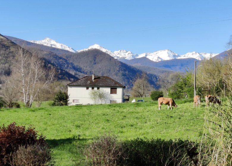 La vue sur la montagne depuis l’appartement