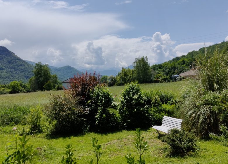 Le jardin devant la terrasse