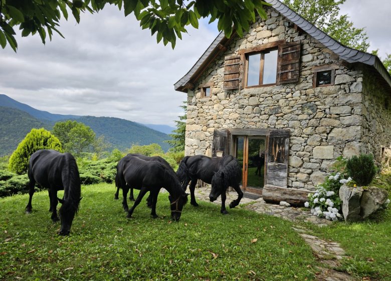 Gîte La Grange de Cambouich_Ercé