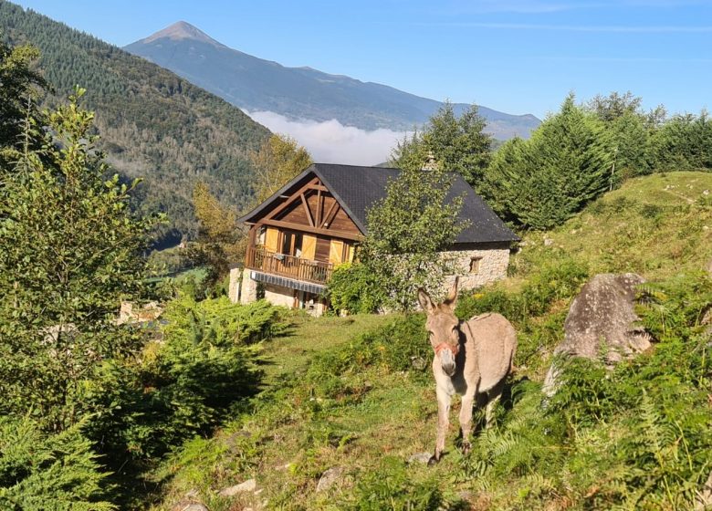 Gîte Le Gustou_Ercé