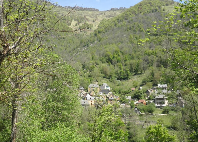 Village