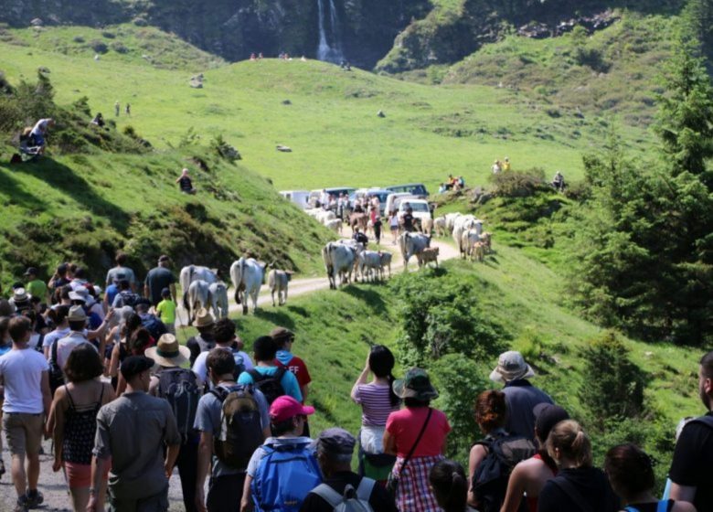 Transhumance en Bethmale_Bethmale